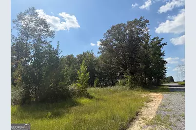 7 Sunhill Grange Road, Davisboro, GA 31018 - Photo 8
