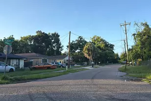 8523 N Mulberry St, Tampa, FL 33604 - Photo 4