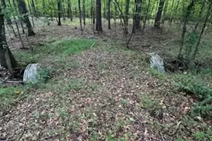 184 McBride Rd, Fayetteville, GA 30215 - Photo 2
