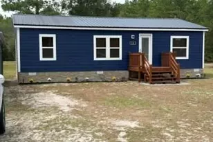 538 Coffee Club Rd, Hortense, GA 31543 - Photo 1