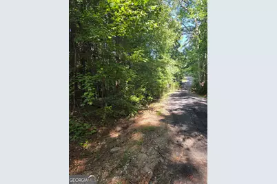 0 Oak Road, Jenkinsburg, GA 30234 - Photo 8