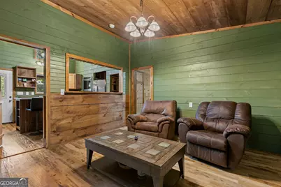 56 N River Road, Mineral Bluff, GA 30559 - Photo 12