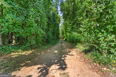 735 Chambers Road, McDonough, GA 30253 - Photo 40