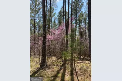 592 Arnold Caldwell Road, Carlton, GA 30627 - Photo 32