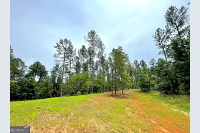 592 Arnold Caldwell Road, Carlton, GA 30627 - Photo 42