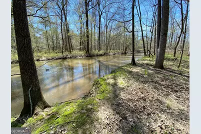 592 Arnold Caldwell Road, Carlton, GA 30627 - Photo 2