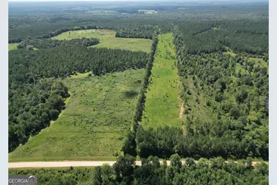 592 Arnold Caldwell Road, Carlton, GA 30627 - Photo 8