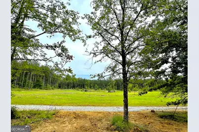 92 Lillian Strong Road, Carlton, GA 30627 - Photo 42
