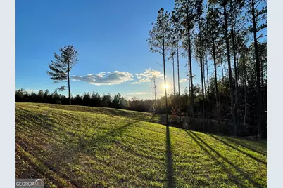 92 Lillian Strong Road, Carlton, GA 30627 - Photo 2
