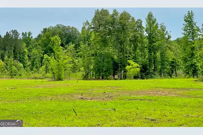 92 Lillian Strong Road, Carlton, GA 30627 - Photo 44