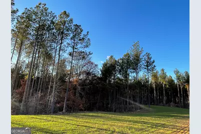 92 Lillian Strong Road, Carlton, GA 30627 - Photo 56
