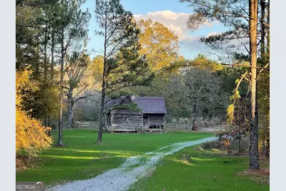 92 Lillian Strong Road, Carlton, GA 30627 - Photo 6