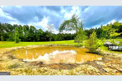 92 Lillian Strong Road, Carlton, GA 30627 - Photo 34
