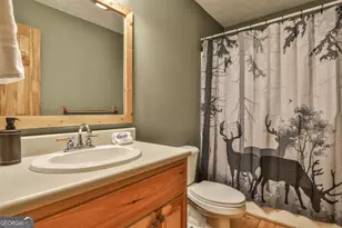 178 Novena Ct, Ellijay, GA 30540 - Photo 34
