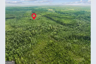V/L 96 Old Reserve Road, White Oak, GA 31568 - Photo 26
