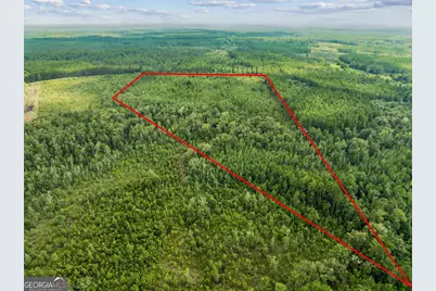 V/L 96 Old Reserve Road, White Oak, GA 31568 - Photo 24