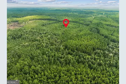 V/L 96 Old Reserve Road, White Oak, GA 31568 - Photo 4