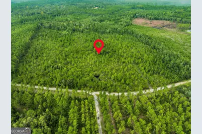 V/L 96 Old Reserve Road, White Oak, GA 31568 - Photo 8