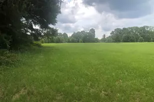 517 Trice Cemetery Rd, Thomaston, GA 30286 - Photo 22