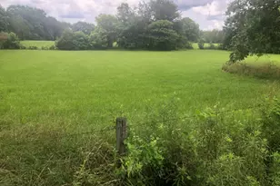 517 Trice Cemetery Rd, Thomaston, GA 30286 - Photo 24