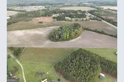 0 Oak Tree Road #(31.62 AC), Metter, GA 30439 - Photo 10
