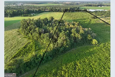 0 Oak Tree Road #(31.62 AC), Metter, GA 30439 - Photo 14