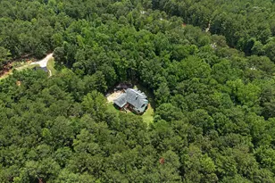 260 Nixon Rd, Senoia, GA 30276 - Photo 68