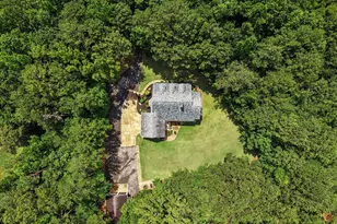 260 Nixon Rd, Senoia, GA 30276 - Photo 66