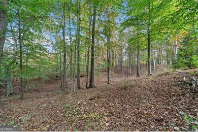 0 Ammons Drive, Waleska, GA 30183 - Photo 2