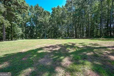 727 Tanners Bridge Circle, Bethlehem, GA 30620 - Photo 46