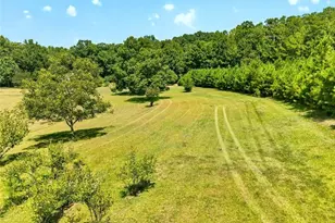 961 Birdie Rd, Griffin, GA 30223 - Photo 100