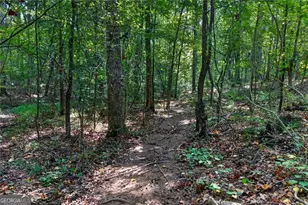 961 Birdie Rd, Griffin, GA 30223 - Photo 84