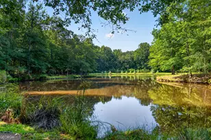 961 Birdie Rd, Griffin, GA 30223 - Photo 76