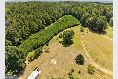 961 Birdie Road, Griffin, GA 30223 - Photo 110