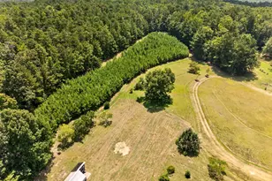 961 Birdie Rd, Griffin, GA 30223 - Photo 110