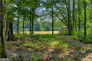 961 Birdie Rd, Griffin, GA 30223 - Photo 82