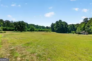 961 Birdie Rd, Griffin, GA 30223 - Photo 102