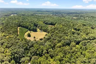 961 Birdie Rd, Griffin, GA 30223 - Photo 112
