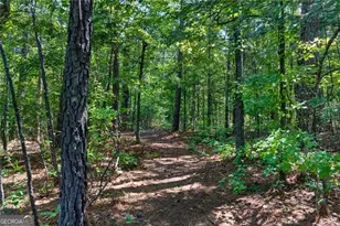 961 Birdie Rd, Griffin, GA 30223 - Photo 86