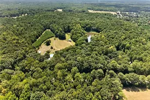 961 Birdie Rd, Griffin, GA 30223 - Photo 108