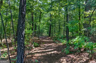 961 Birdie Rd, Griffin, GA 30223 - Photo 86