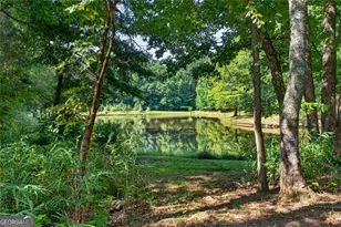 961 Birdie Rd, Griffin, GA 30223 - Photo 74