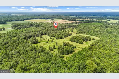 1010 Frank Cook Road, Cochran, GA 31014 - Photo 80