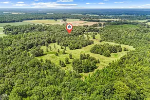 1010 Frank Cook Rd, Cochran, GA 31014 - Photo 80