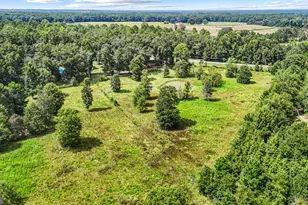 1010 Frank Cook Rd, Cochran, GA 31014 - Photo 76