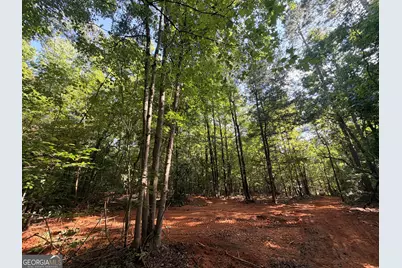 8 Bunch Road, Tignall, GA 30668 - Photo 60