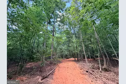8 Bunch Road, Tignall, GA 30668 - Photo 20