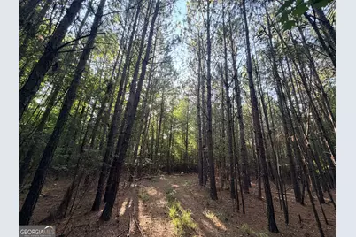 8 Bunch Road, Tignall, GA 30668 - Photo 62