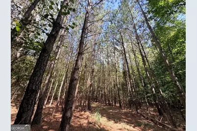 8 Bunch Road, Tignall, GA 30668 - Photo 34