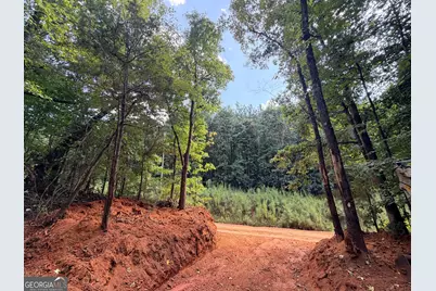 8 Bunch Road, Tignall, GA 30668 - Photo 42